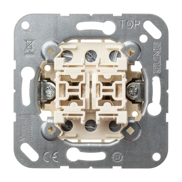 Interruptor doble 10AX 250V Jung