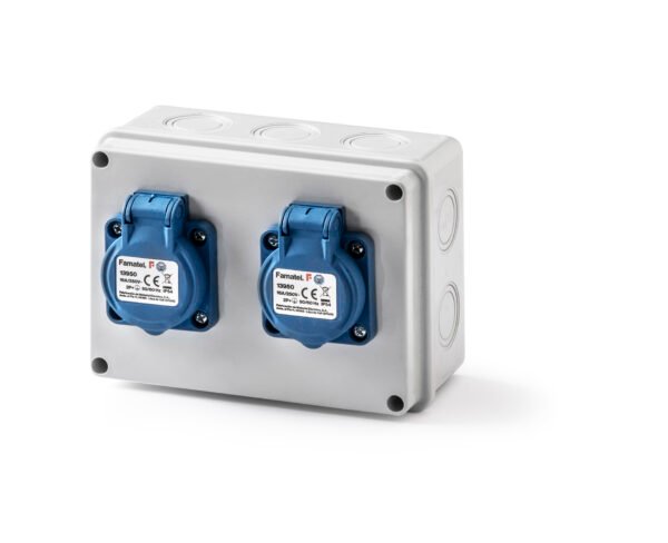 Caja estanca cableada IP54 2 tomas Famatel